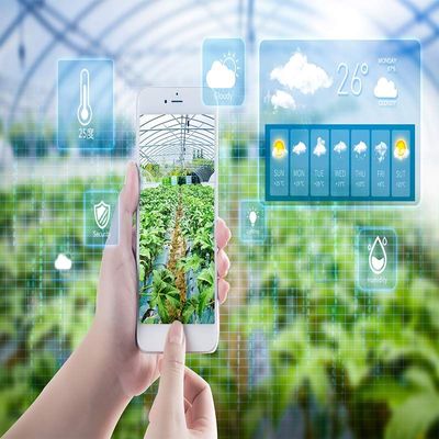 智慧農(nóng)業(yè)新篇章 物聯(lián)網(wǎng)智能溫室冷棚一體化種植系統(tǒng)規(guī)劃設(shè)計(jì)與技術(shù)開發(fā)